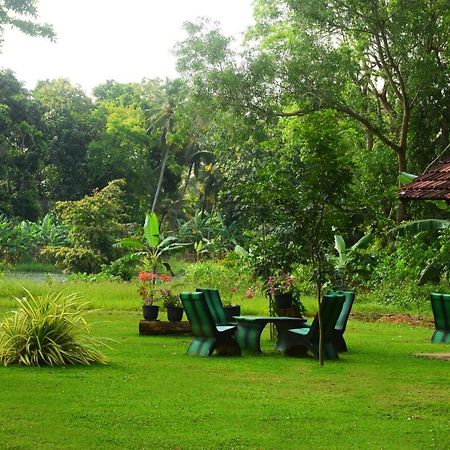 Canal Side Safari Resort 우다왈라웨 외부 사진