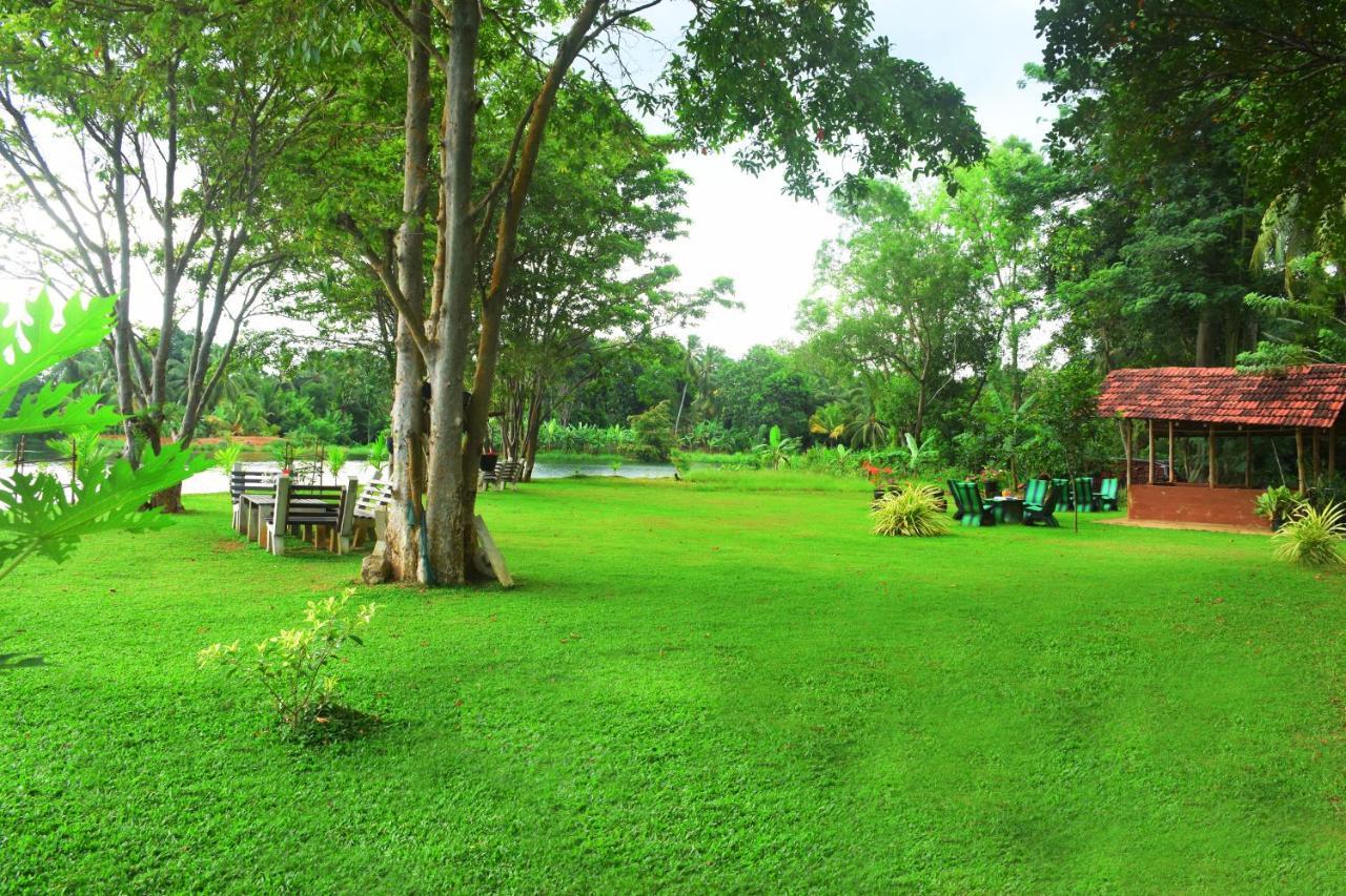 Canal Side Safari Resort 우다왈라웨 외부 사진