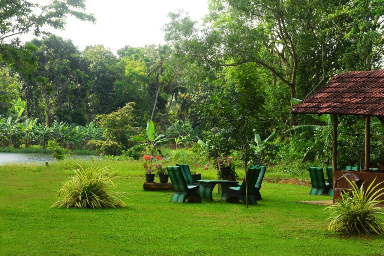 Canal Side Safari Resort 우다왈라웨 외부 사진