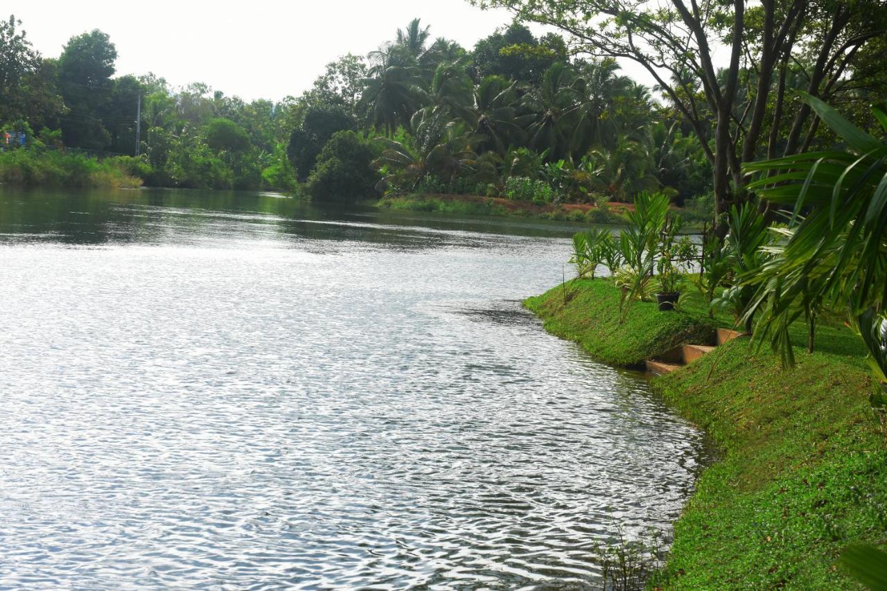 Canal Side Safari Resort 우다왈라웨 외부 사진