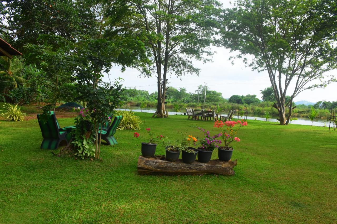 Canal Side Safari Resort 우다왈라웨 외부 사진