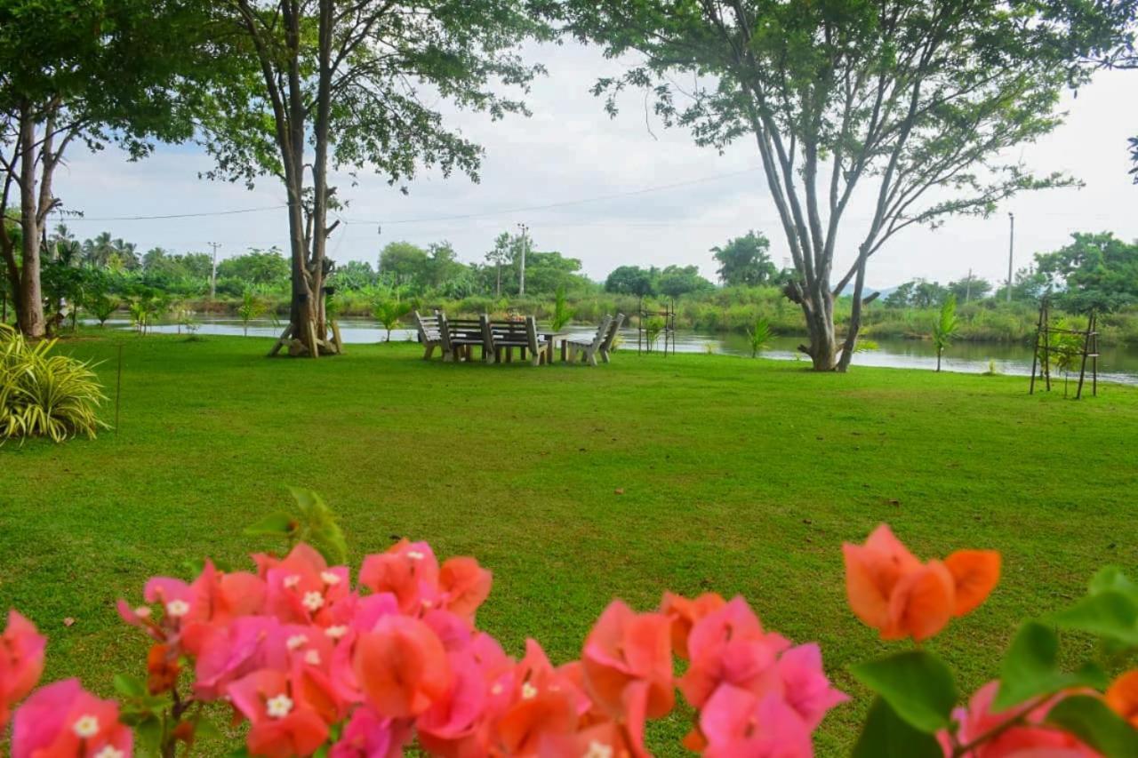 Canal Side Safari Resort 우다왈라웨 외부 사진
