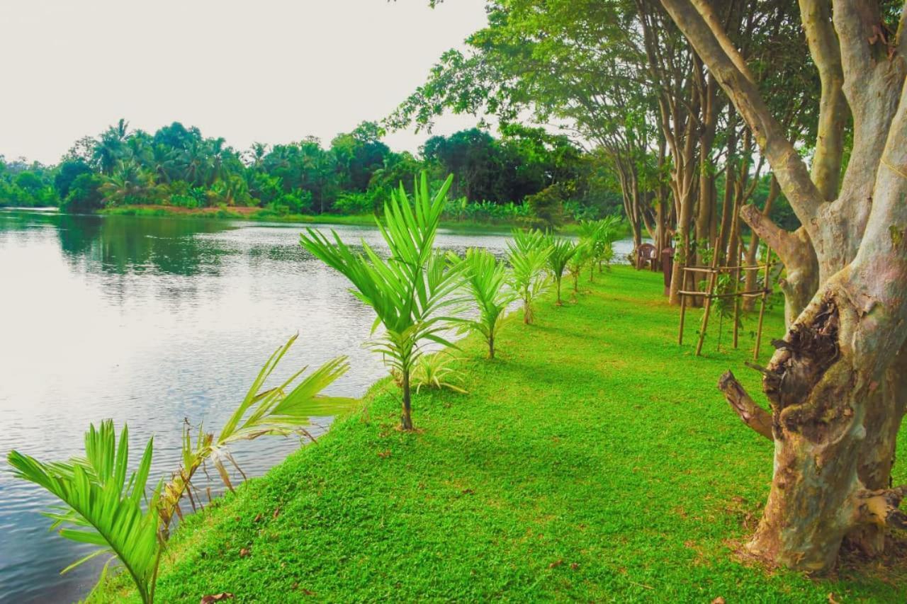 Canal Side Safari Resort 우다왈라웨 외부 사진