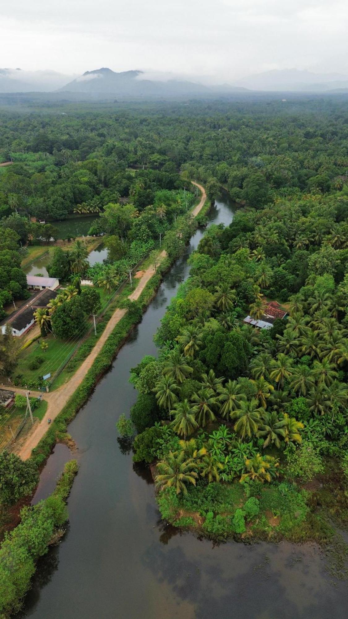 Canal Side Safari Resort 우다왈라웨 외부 사진