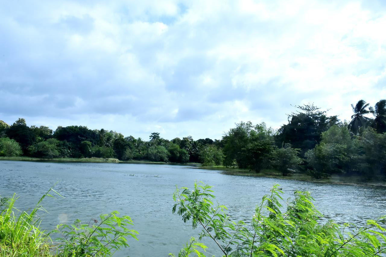 Canal Side Safari Resort 우다왈라웨 외부 사진